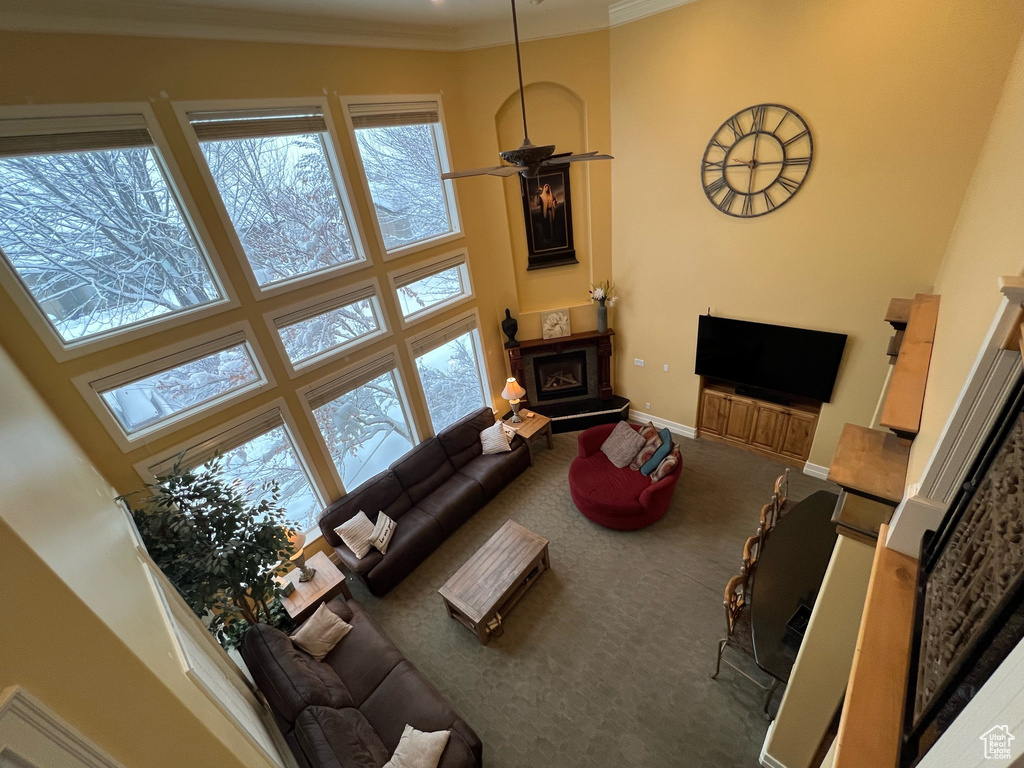 Carpeted living room with crown molding, ceiling fan, and a high ceiling