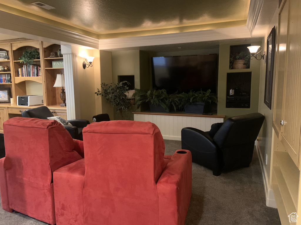 Carpeted home theater room with radiator and a raised ceiling