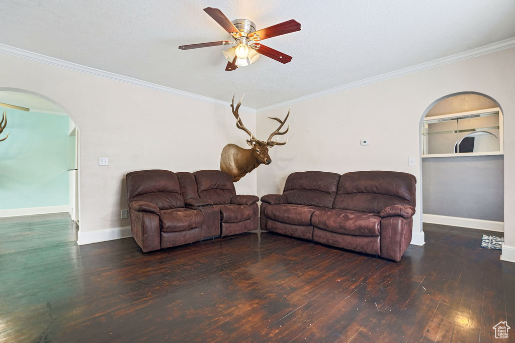 Living room with ornamental molding, dark wood-type flooring, and ceiling fan