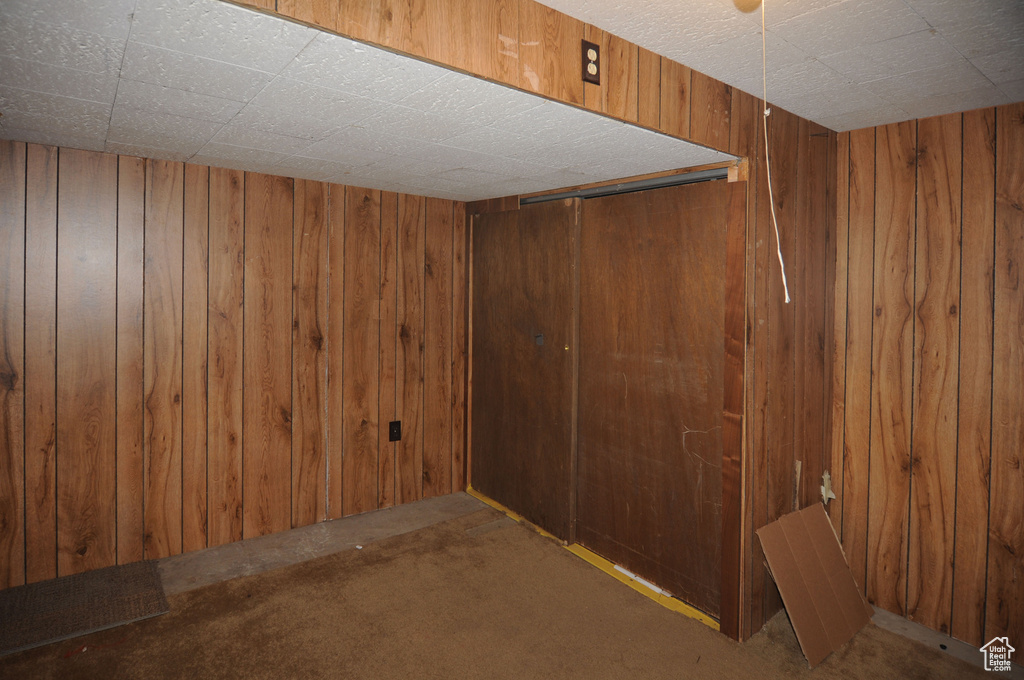 Basement with wood walls and carpet floors