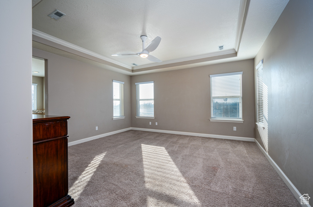 Carpeted spare room featuring a raised ceiling and ceiling fan