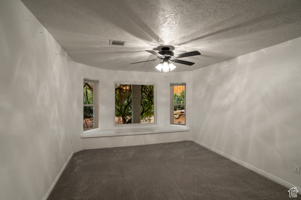 Empty room with a textured ceiling, a healthy amount of sunlight, carpet, and ceiling fan