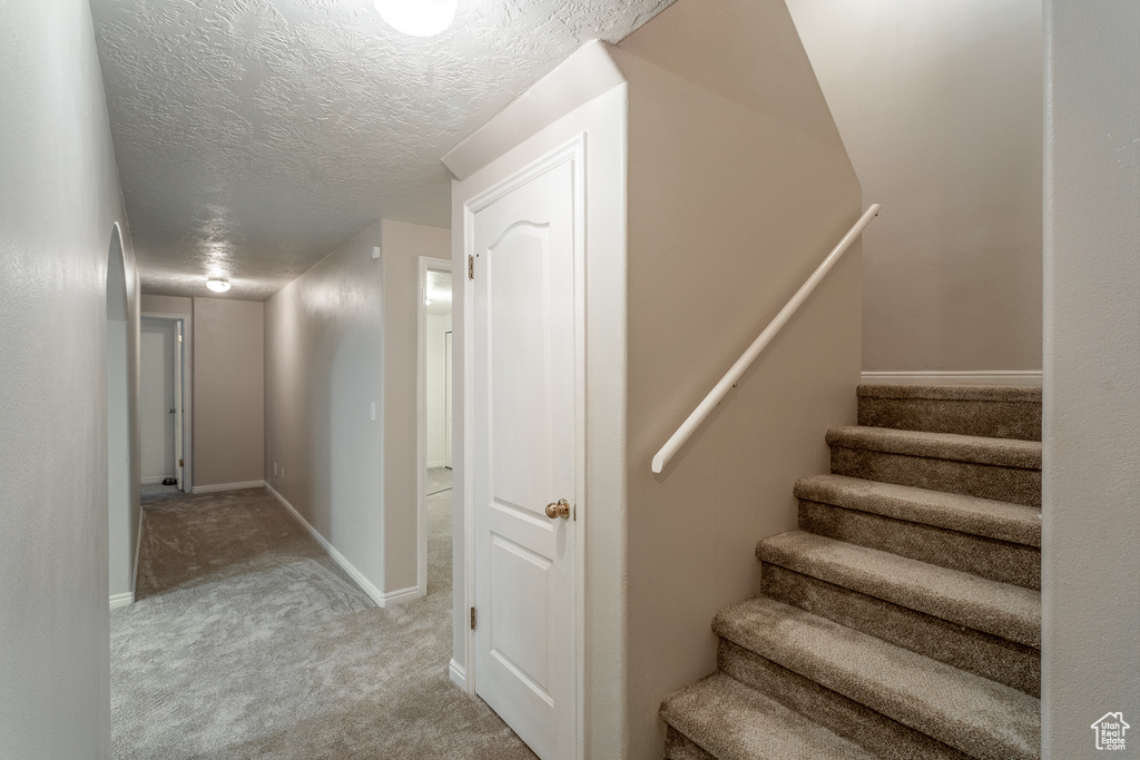 Stairway featuring light carpet and a textured ceiling