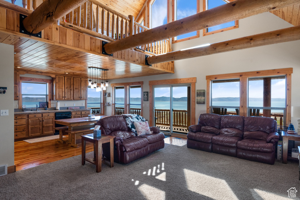 Living room with a water view, hardwood / wood-style floors, and a wealth of natural light