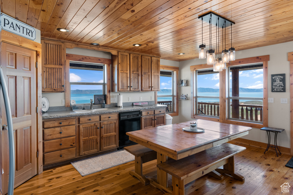 Kitchen featuring light hardwood / wood-style floors, dishwasher, and plenty of natural light