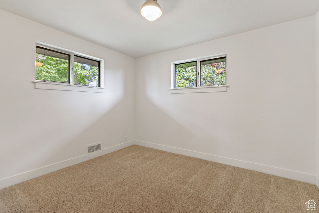 Spare room featuring a wealth of natural light and carpet flooring