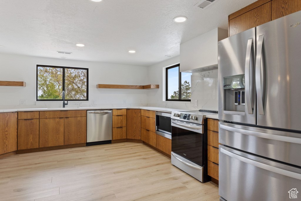 Kitchen featuring light hardwood / wood-style floors, appliances with stainless steel finishes, sink, and a wealth of natural light