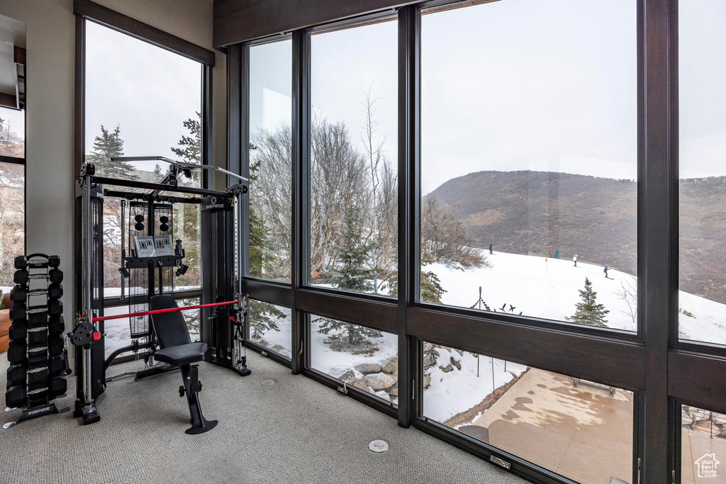 Exercise room featuring light carpet, a mountain view, and expansive windows