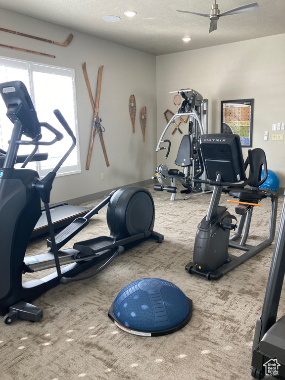 Exercise area with light colored carpet, a wealth of natural light, and ceiling fan