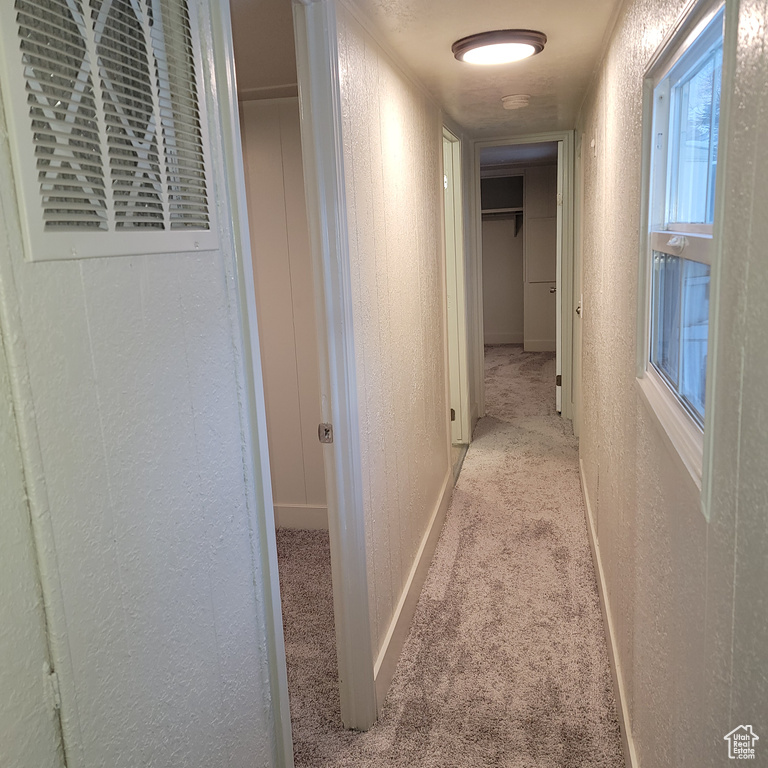 Hallway featuring light carpet