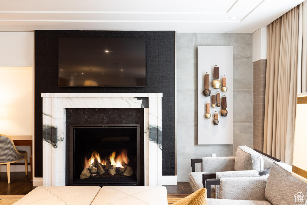 Interior details with dark wood-type flooring and a premium fireplace