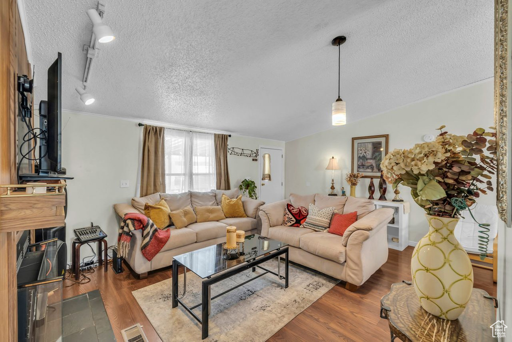 Living room featuring rail lighting, a textured ceiling, and dark hardwood / wood-style floors