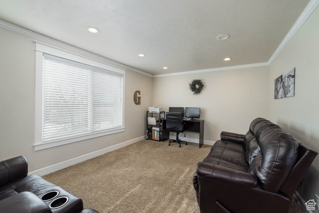 Office area with crown molding, light carpet, and a wealth of natural light