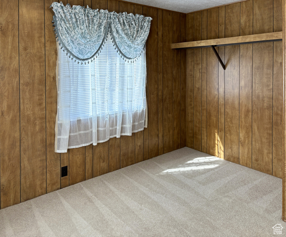 Empty room featuring carpet and wooden walls