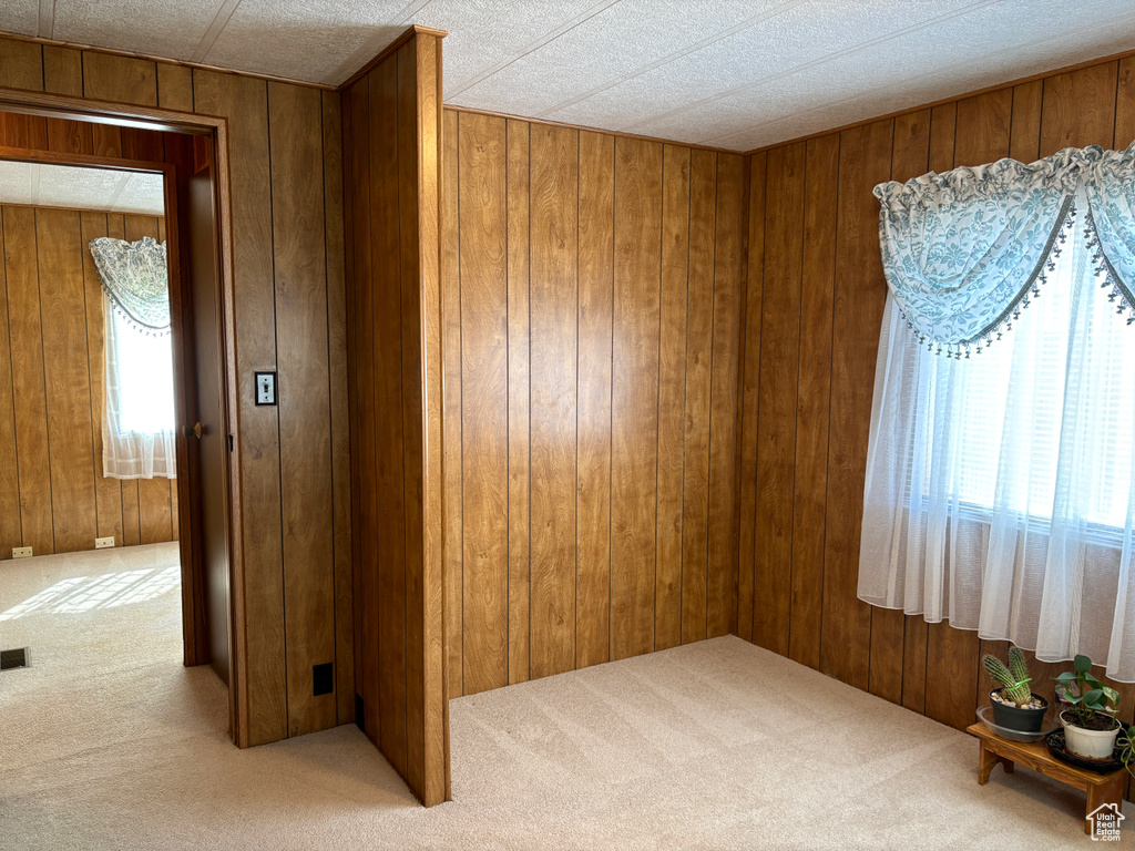 Empty room with wood walls and light carpet