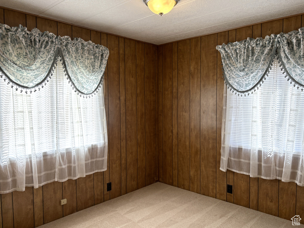 Carpeted spare room featuring wood walls