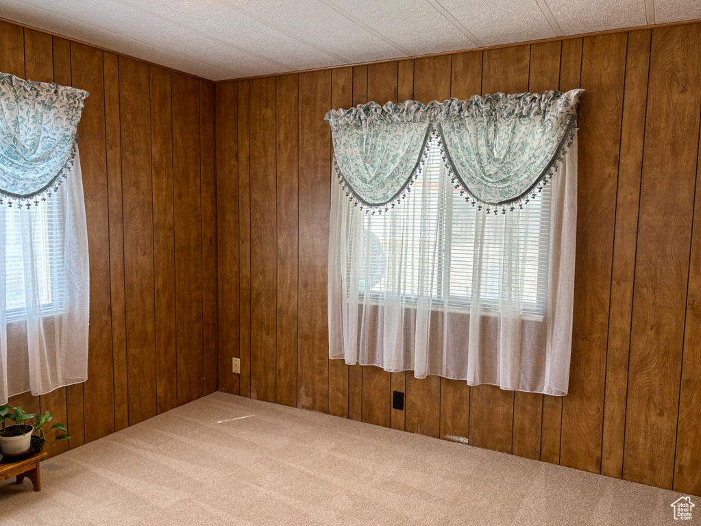 Carpeted empty room featuring a healthy amount of sunlight and wood walls