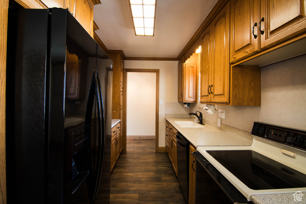 Kitchen with dark hardwood / wood-style flooring, crown molding, sink, and black appliances