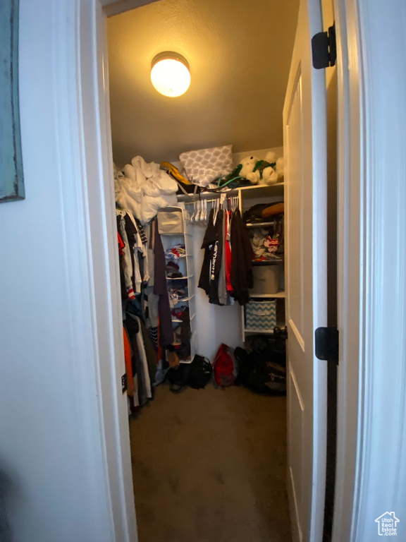 Spacious closet featuring dark carpet
