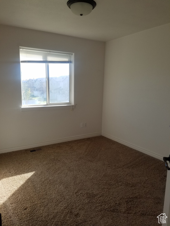 Empty room featuring carpet flooring and a wealth of natural light