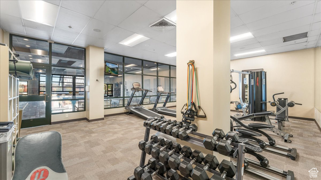 Exercise room featuring a paneled ceiling and light colored carpet