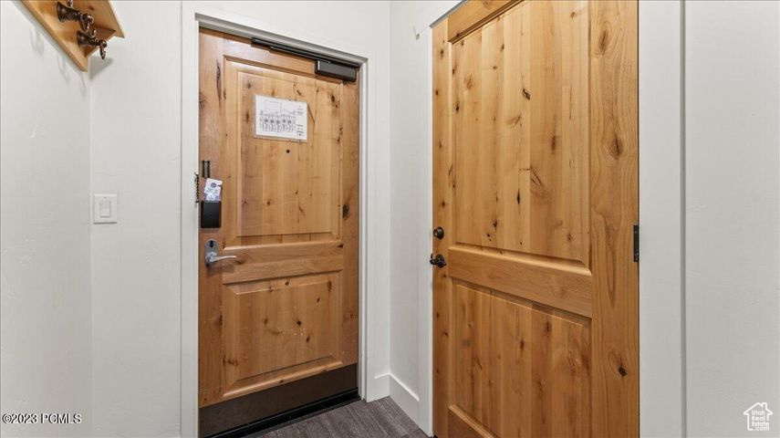 Doorway with dark wood-type flooring