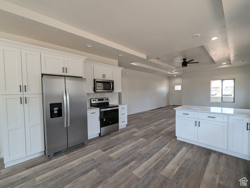 Kitchen featuring white cabinetry, hardwood / wood-style floors, a tray ceiling, stainless steel appliances, and ceiling fan