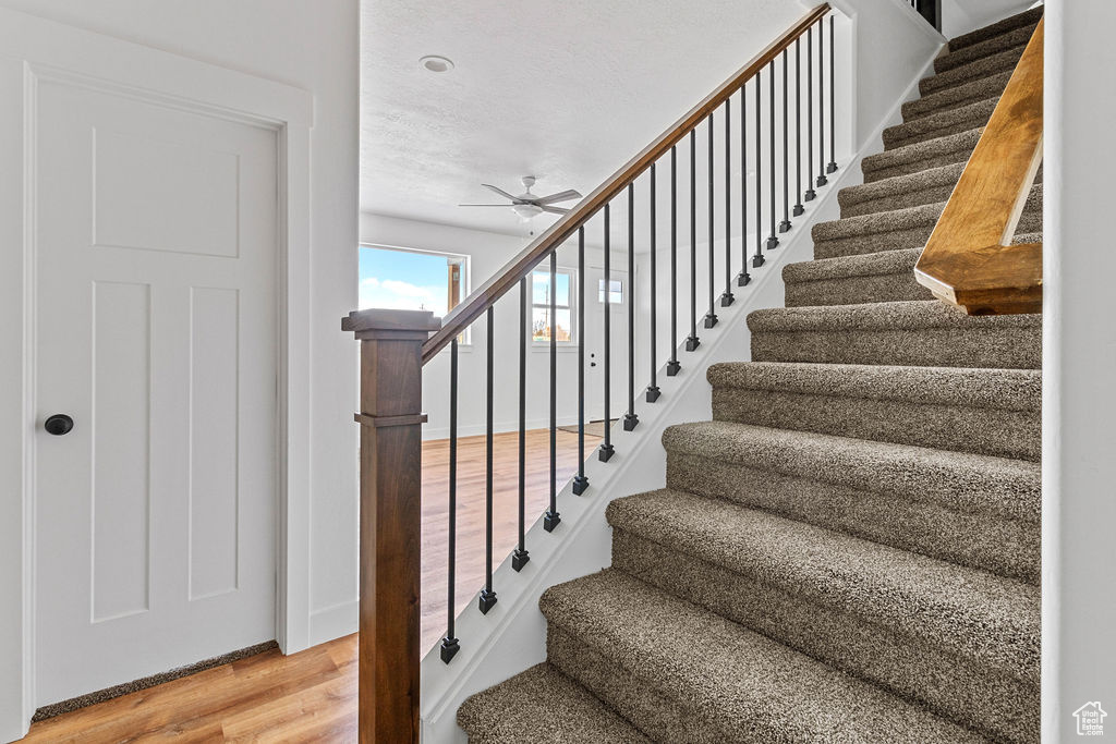Stairway featuring light hardwood / wood-style flooring and ceiling fan