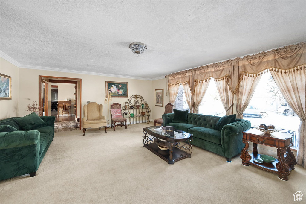 Living room with ornamental molding, light carpet, and a textured ceiling