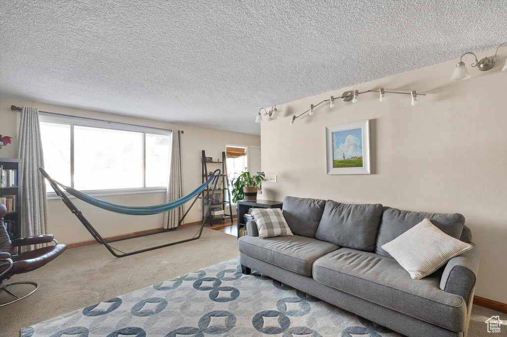 Living room featuring light colored carpet and a textured ceiling