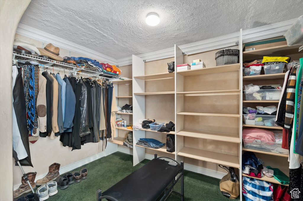 Spacious closet featuring carpet