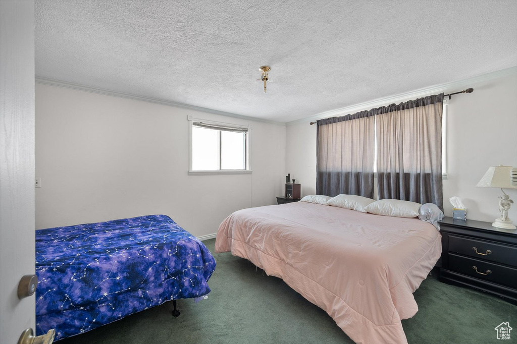 Carpeted bedroom featuring a textured ceiling