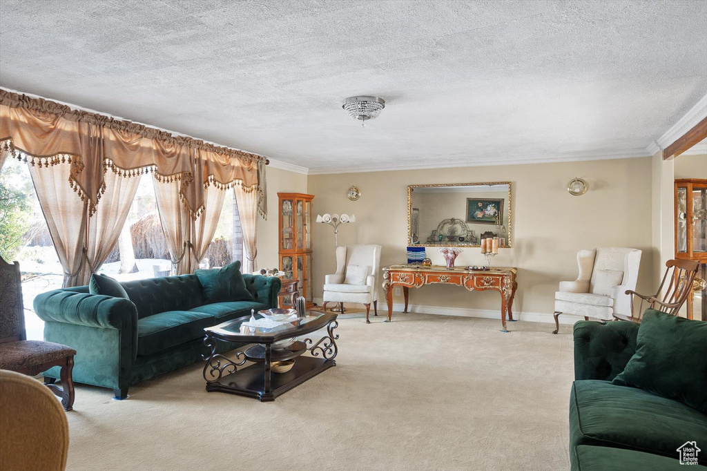 Carpeted living room featuring ornamental molding and a textured ceiling