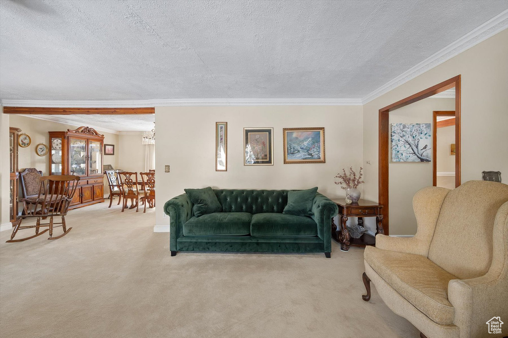 Carpeted living room with an inviting chandelier, crown molding, and a textured ceiling