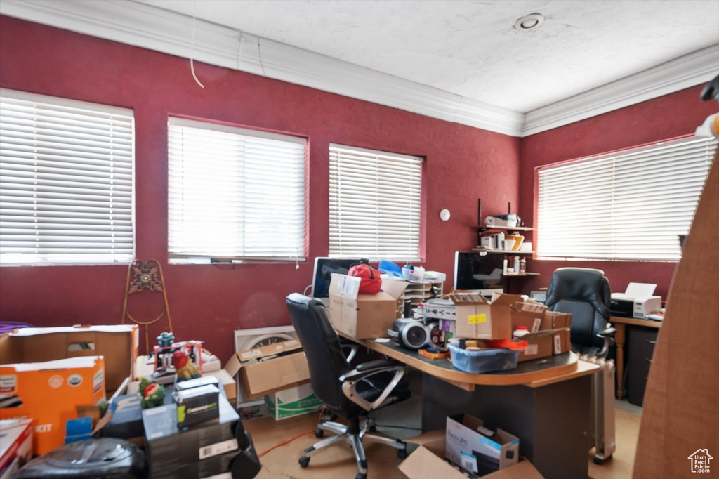 Office space with crown molding and a healthy amount of sunlight