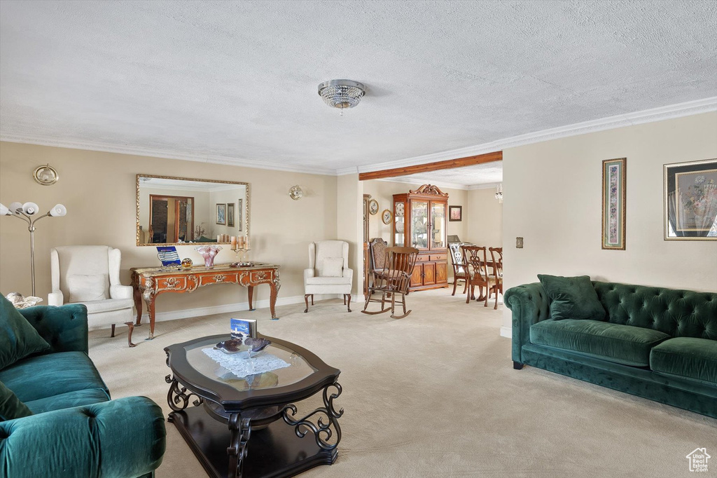 Living room with ornamental molding, light colored carpet, and a textured ceiling