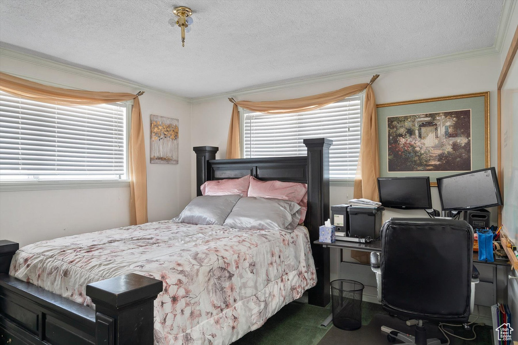 Bedroom featuring ornamental molding, multiple windows, and a textured ceiling
