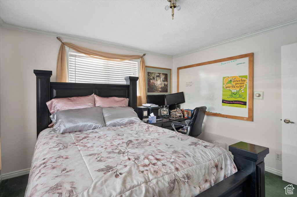 Carpeted bedroom featuring crown molding and a textured ceiling