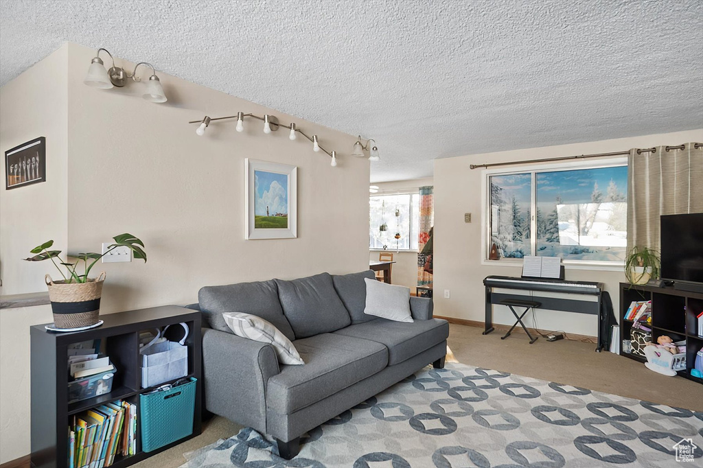 Living room with light carpet and a textured ceiling