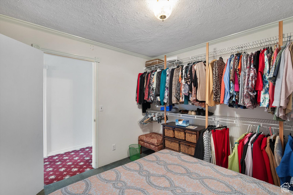 Walk in closet with carpet
