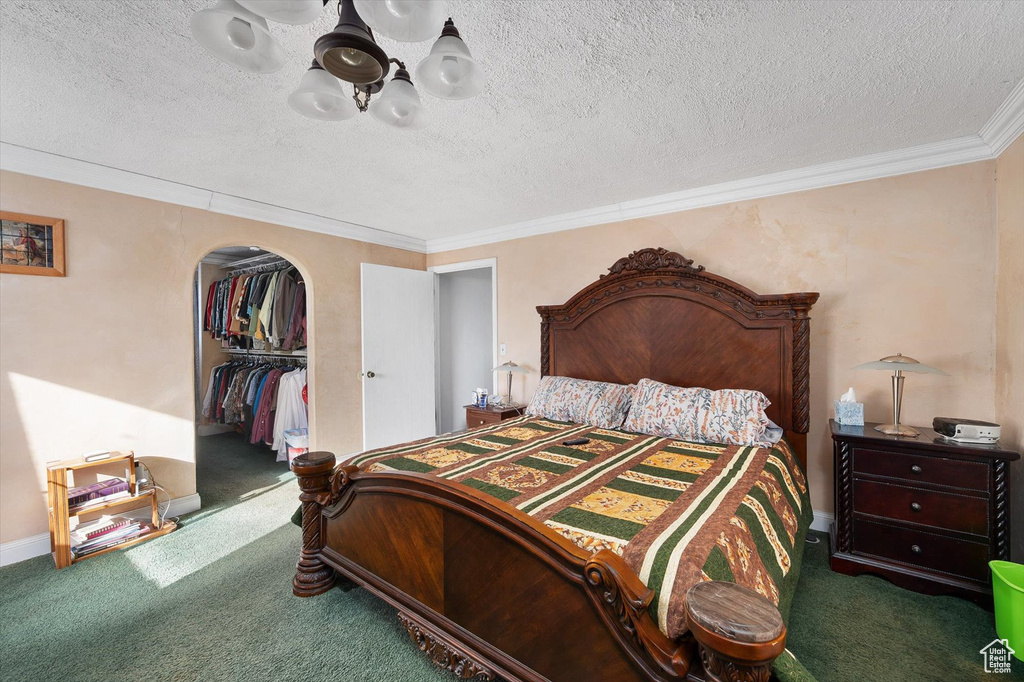Carpeted bedroom with ornamental molding, a closet, a walk in closet, and a textured ceiling