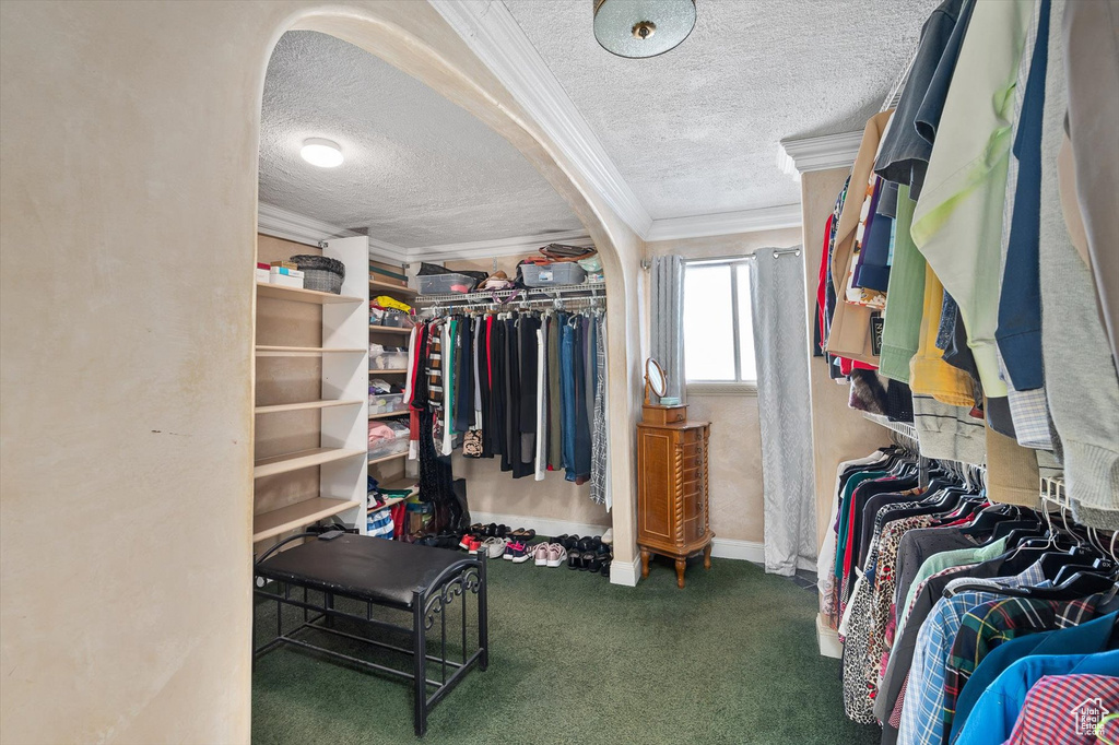Walk in closet featuring carpet