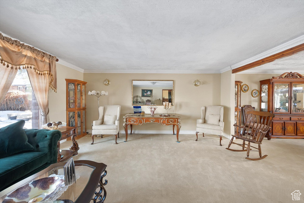 Carpeted living room featuring crown molding and a textured ceiling