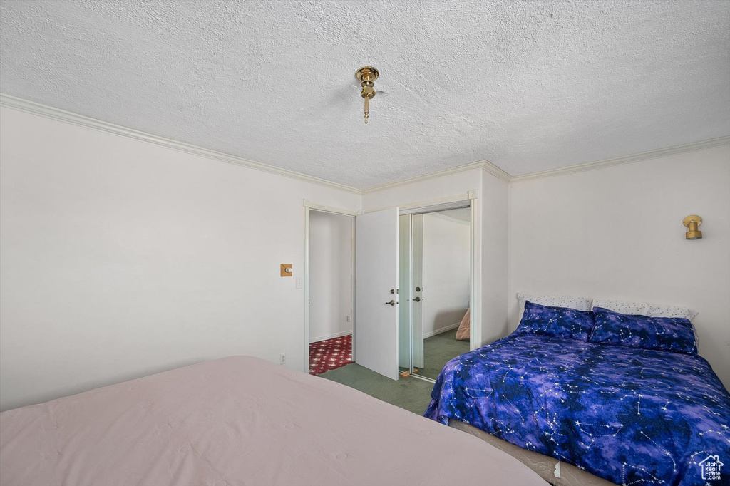 Carpeted bedroom featuring a closet and a textured ceiling