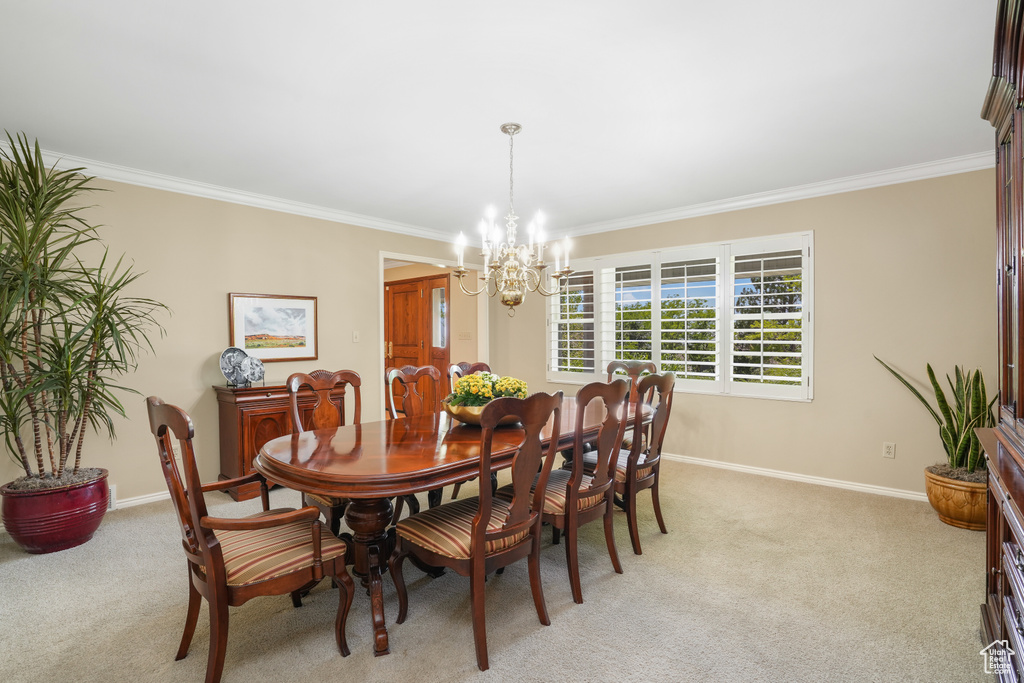 Carpeted dining area featuring an inviting chandelier and ornamental molding