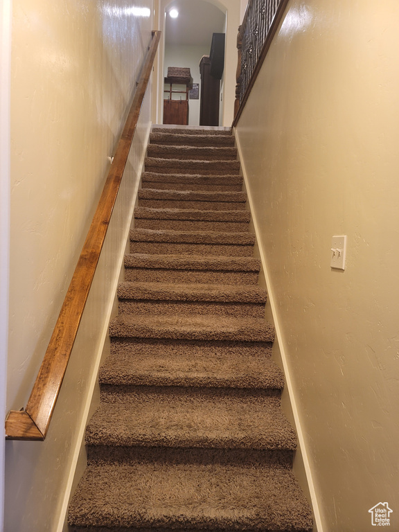 Stairs with carpet flooring