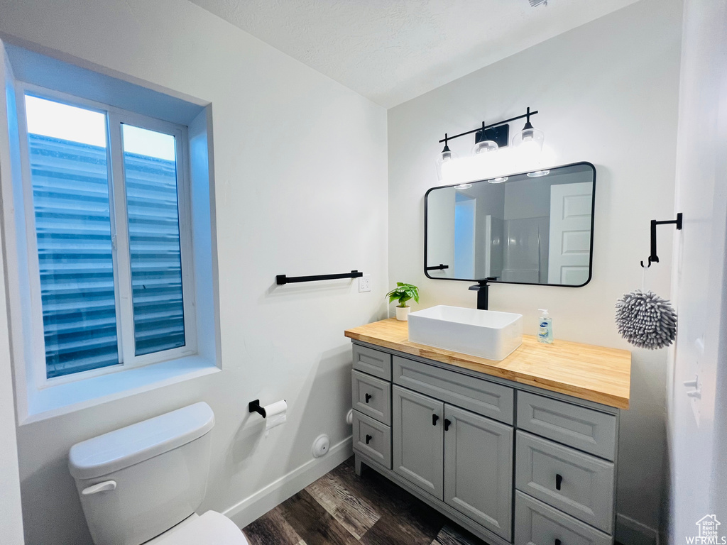 Bathroom featuring toilet, large vanity, and hardwood / wood-style floors