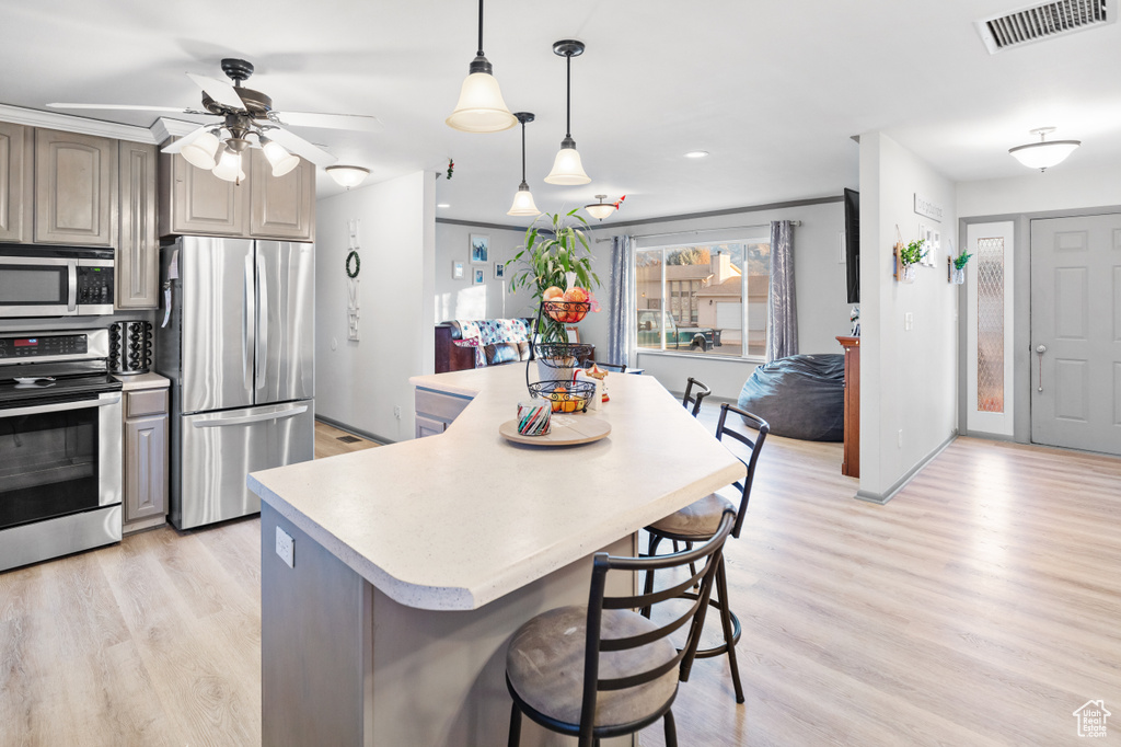Kitchen featuring light hardwood / wood-style flooring, a kitchen bar, appliances with stainless steel finishes, and ceiling fan