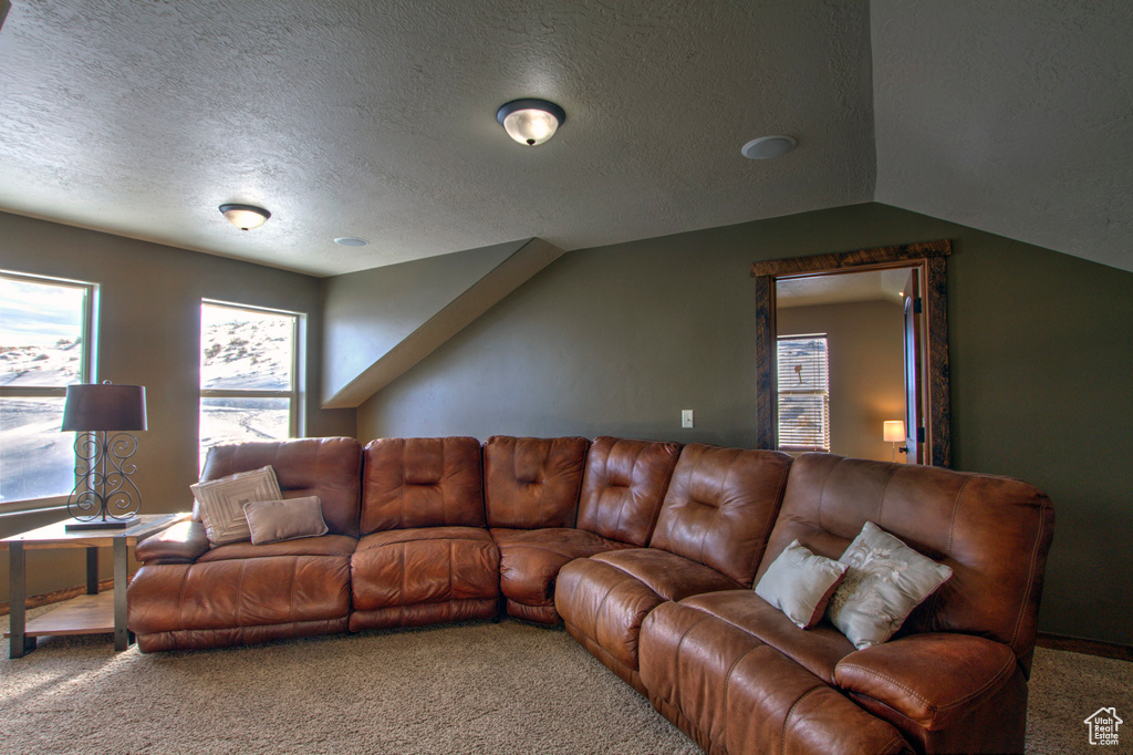 Living room featuring vaulted ceiling, carpet floors, and a textured ceiling