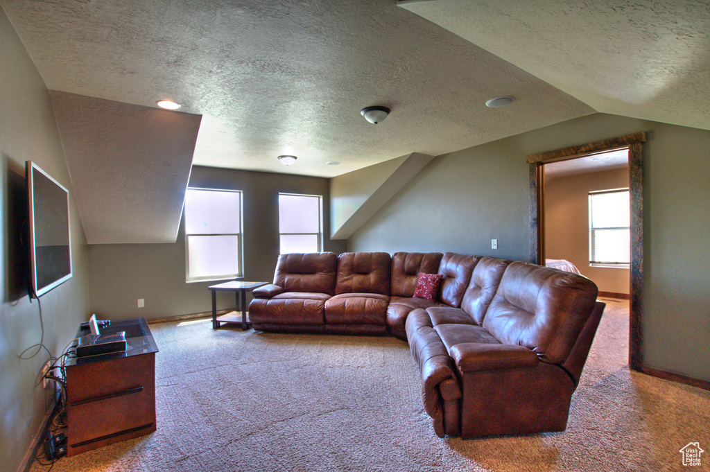 Carpeted living room featuring a textured ceiling and lofted ceiling